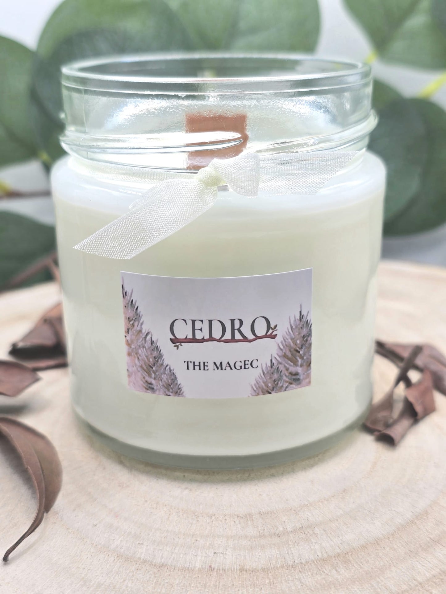 Cedro